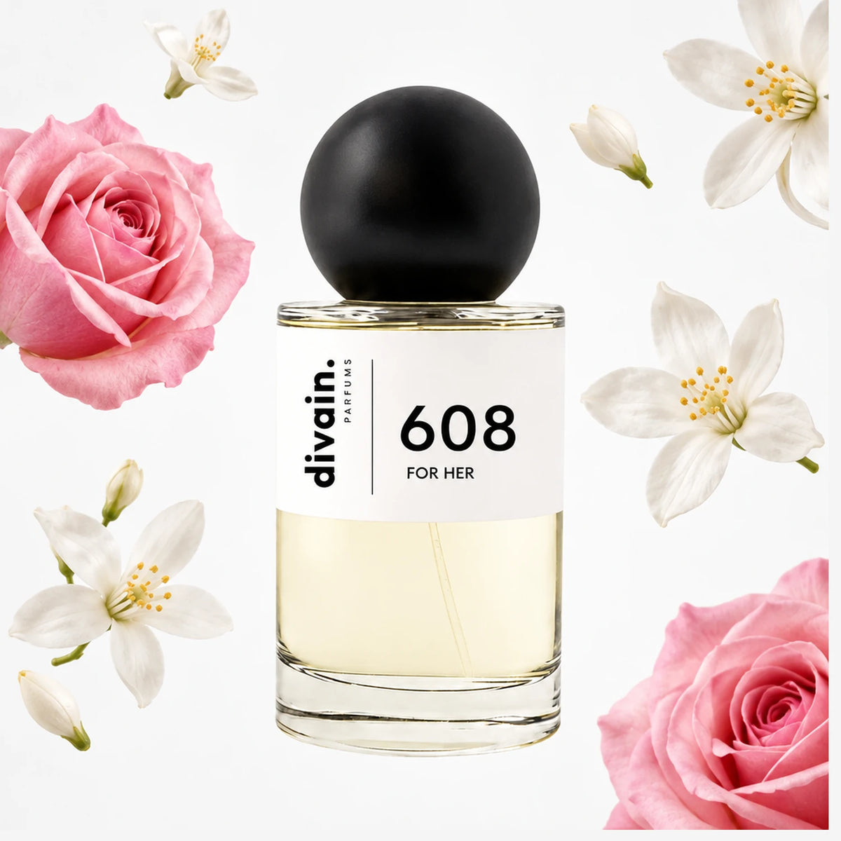divain.608
