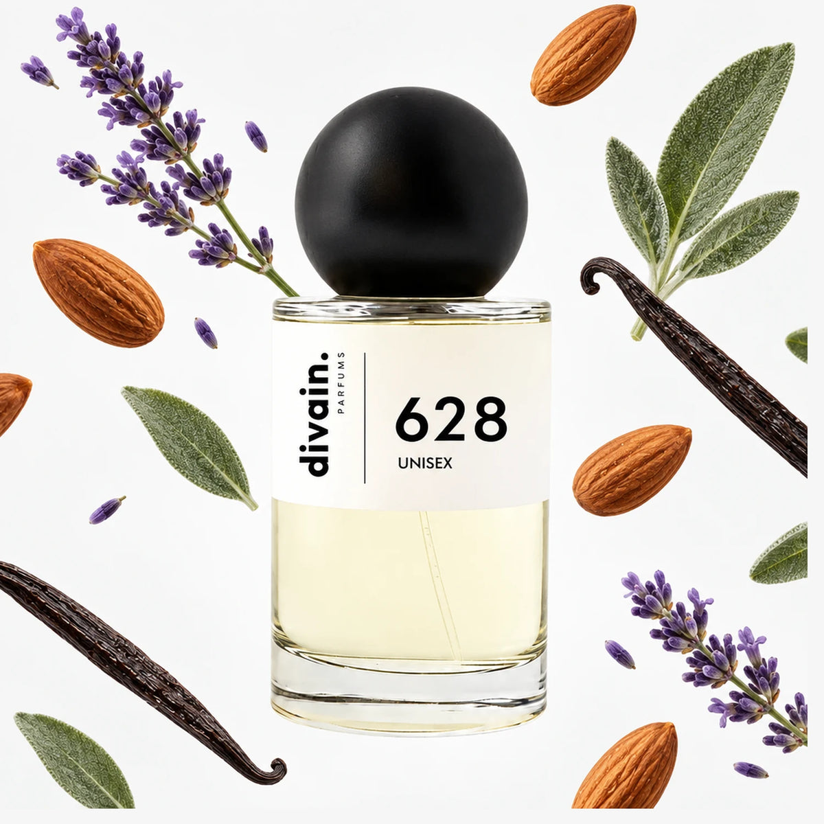 divain.628
