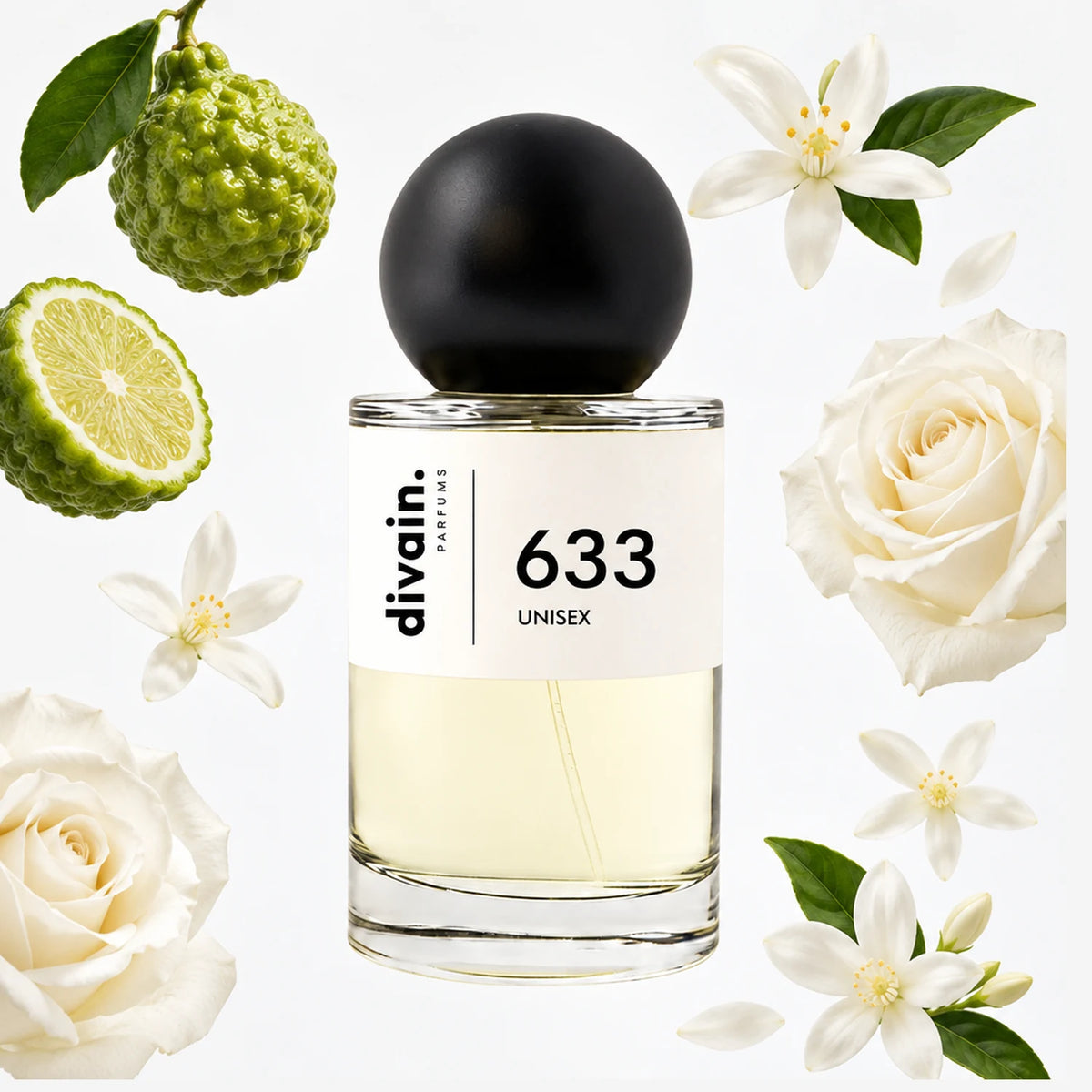 divain.633