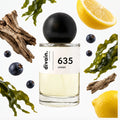 Pirámide olfativa perfume divain.635 | divain Parfums