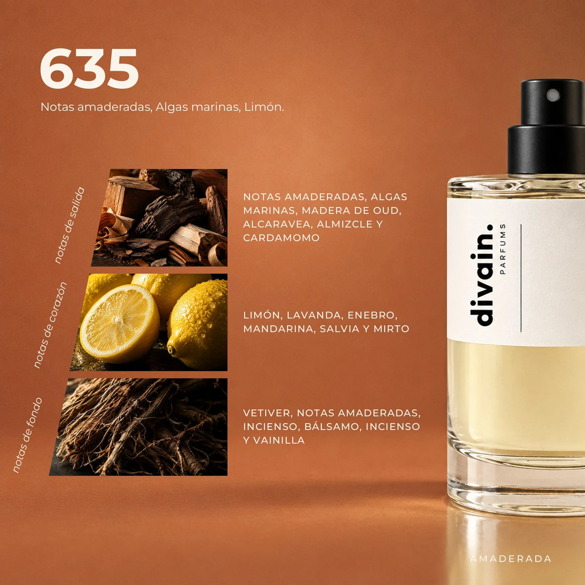 divain-635 piramide olfativa