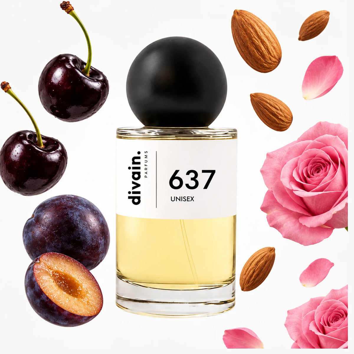 divain.637