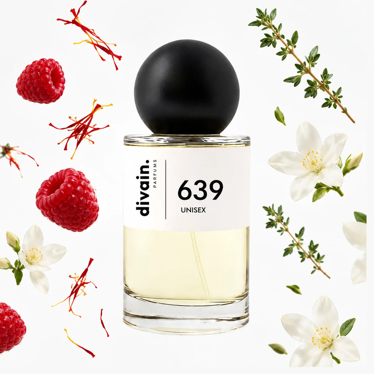 divain.639