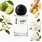 Pirámide olfativa perfume divain.647 | divain Parfums