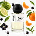 divain-666 notas