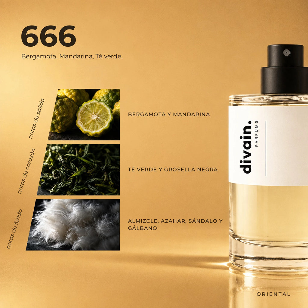 divain-666 piramide olfativa