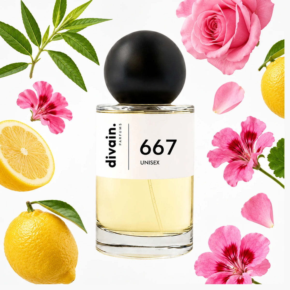 divain.667