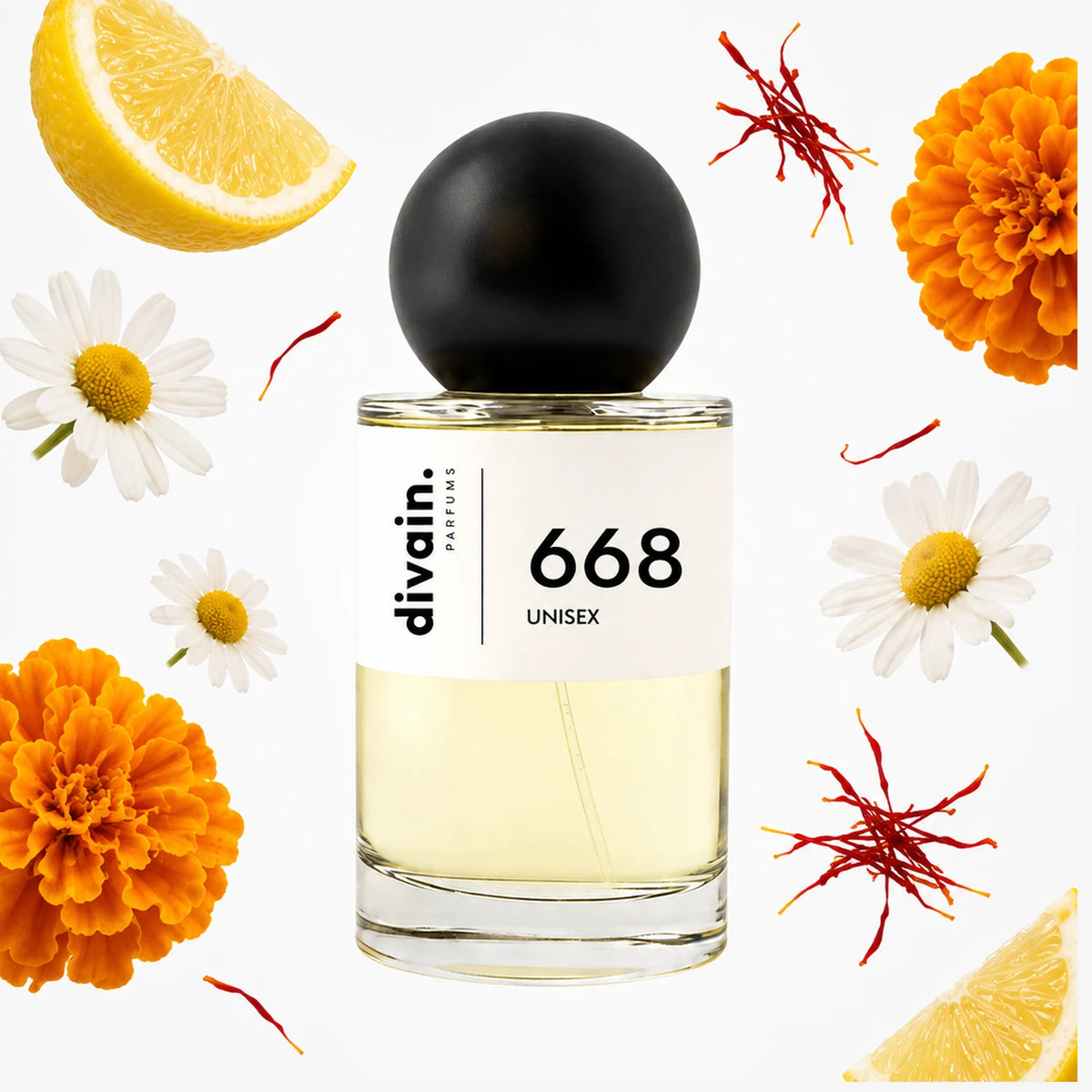 divain.668