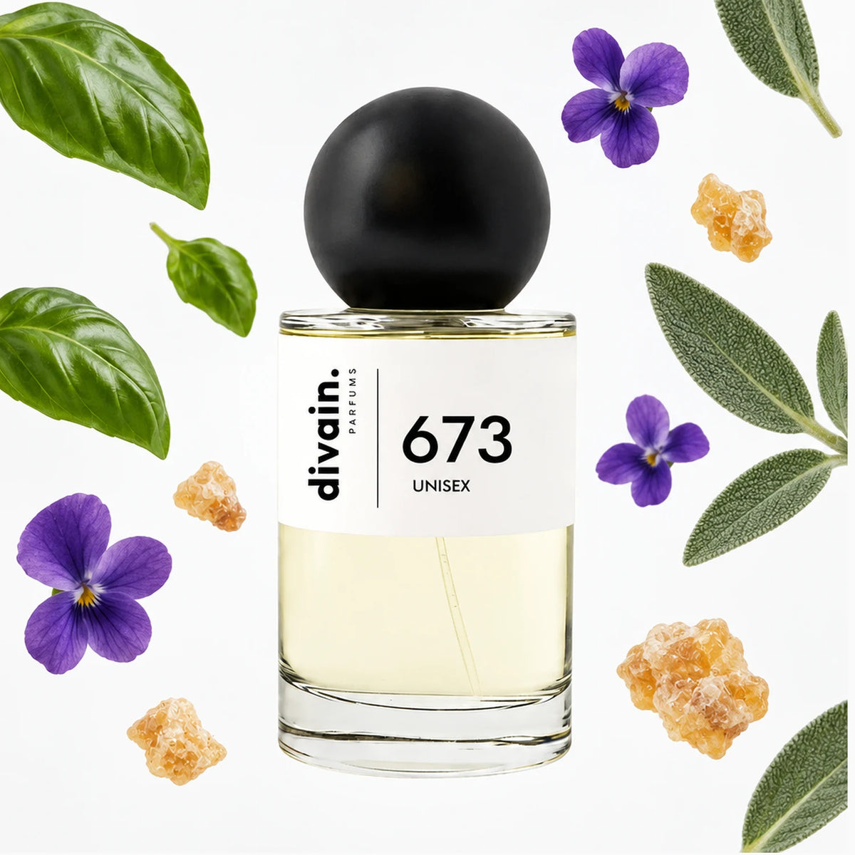 divain.673