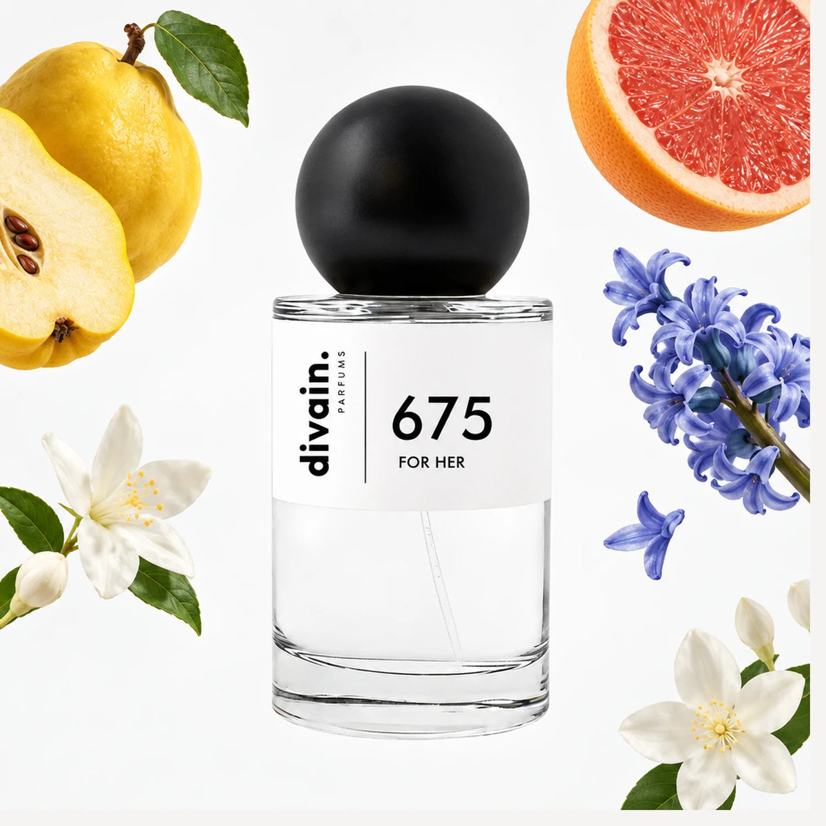 divain.675