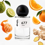 Notas olfativas perfume divain.677 | divain Parfums