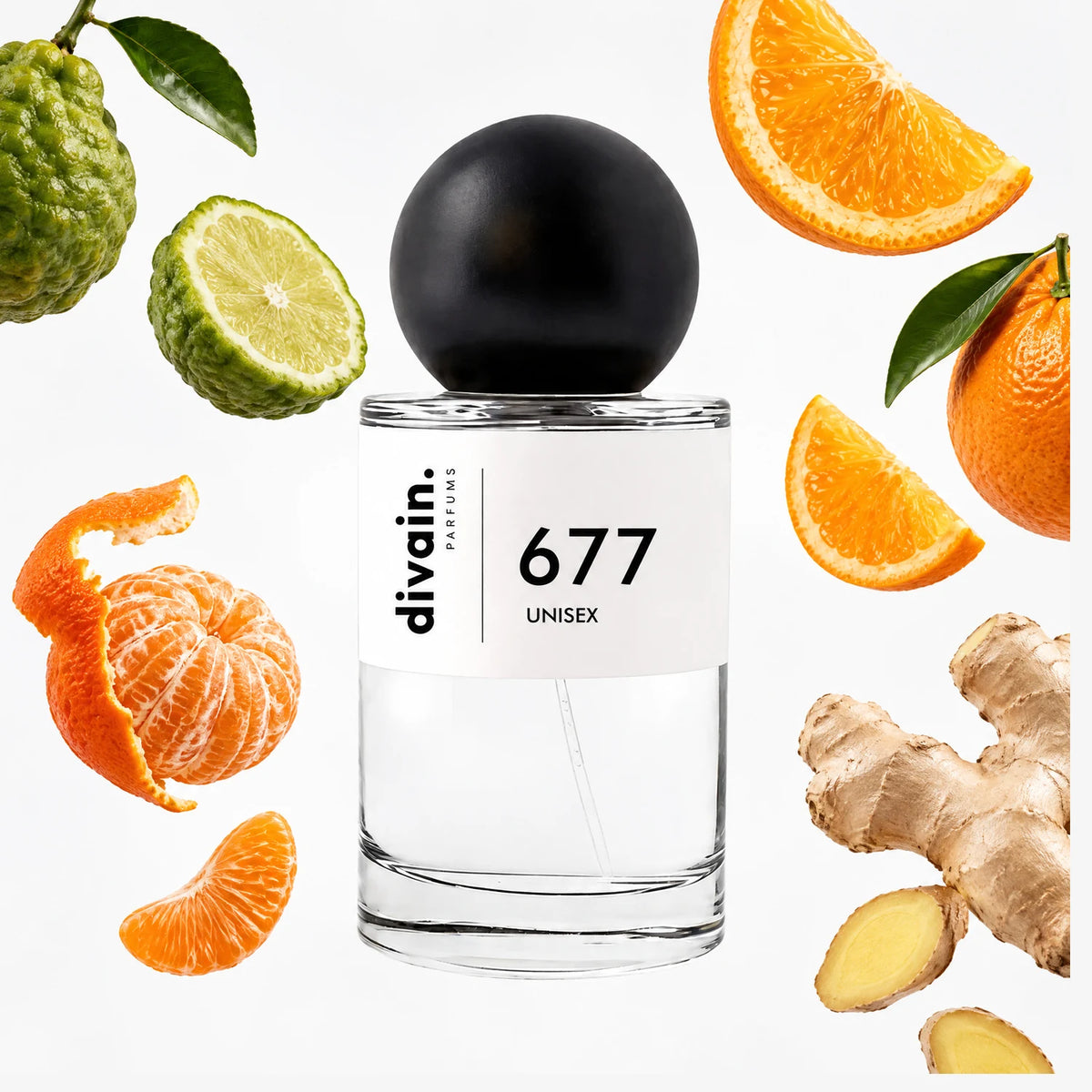 divain.677