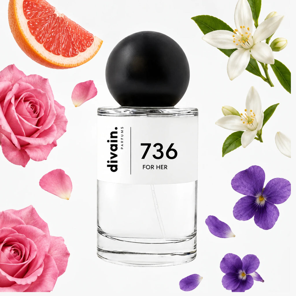 Pirámide olfativa perfume divain.736 | divain Parfums