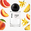 Pirámide olfativa perfume divain.737 | divain Parfums