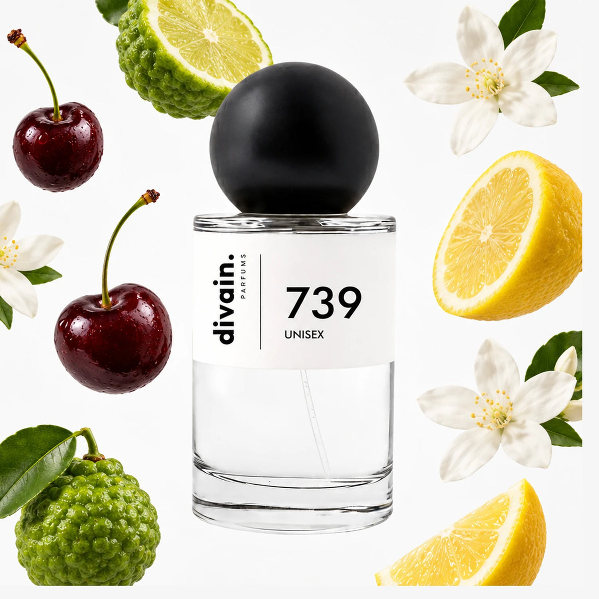 divain.739