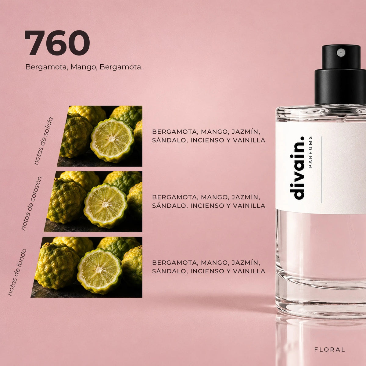 divain-760 piramide olfativa