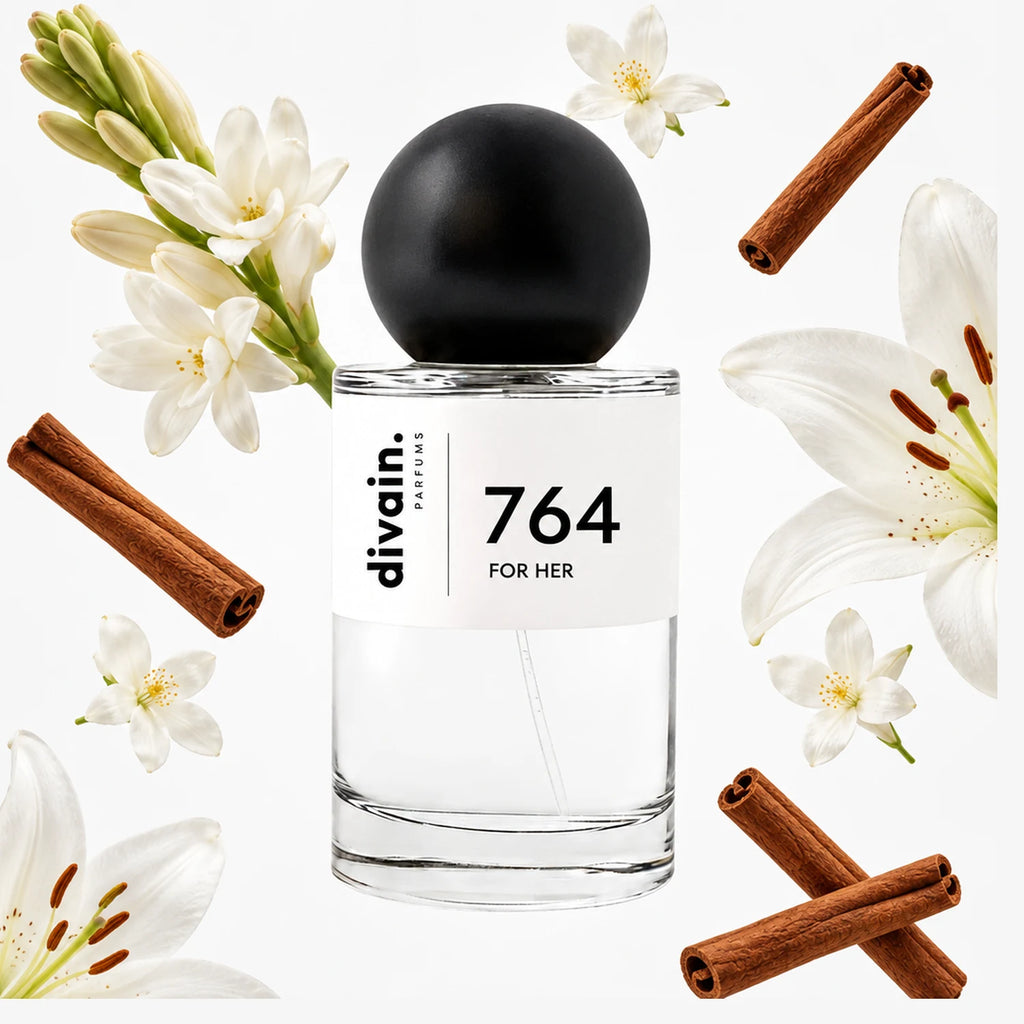 divain-764 notas