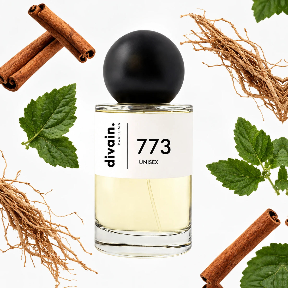 divain-773 notas