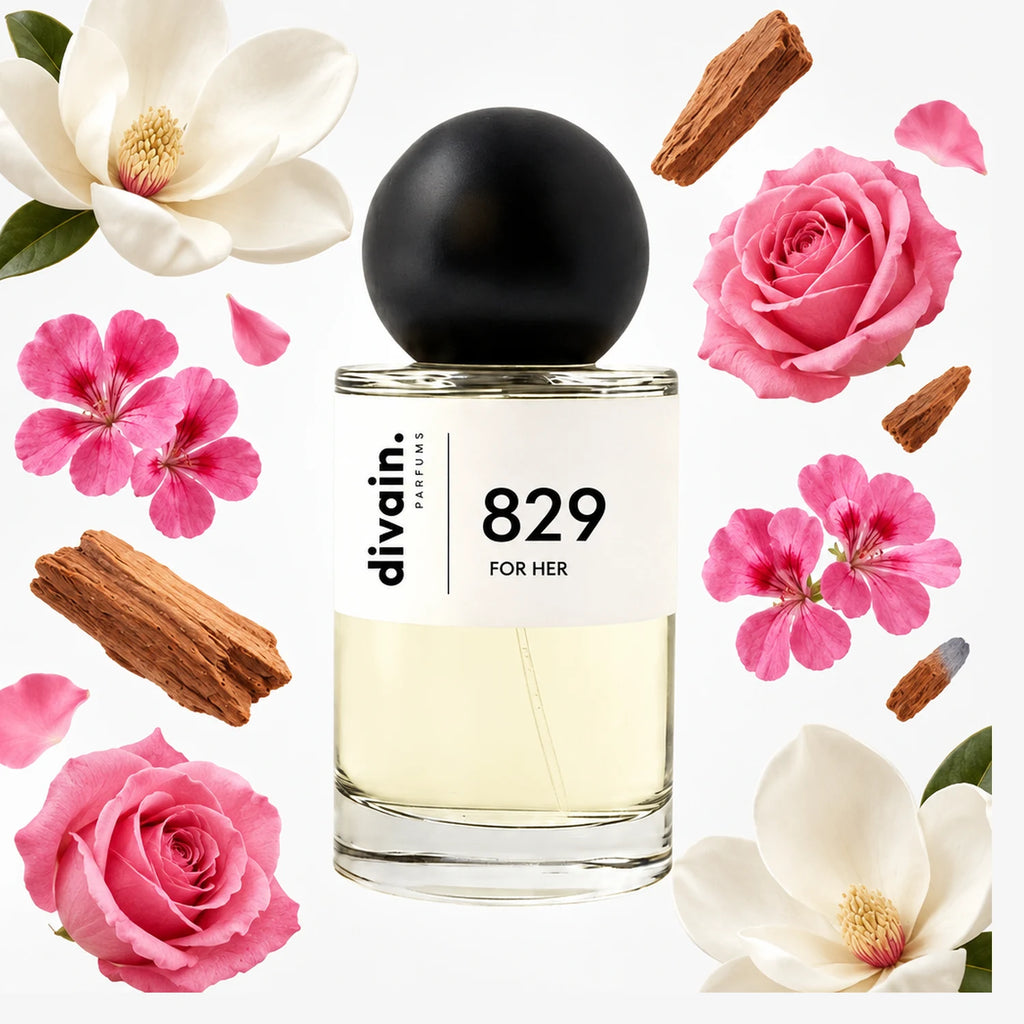 divain-829 notas