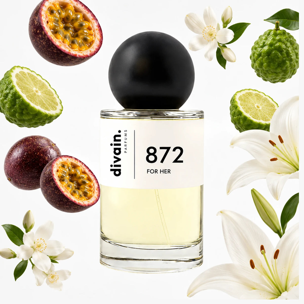 divain-872 notas