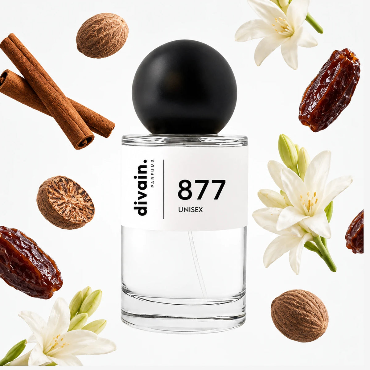 divain-877 notas