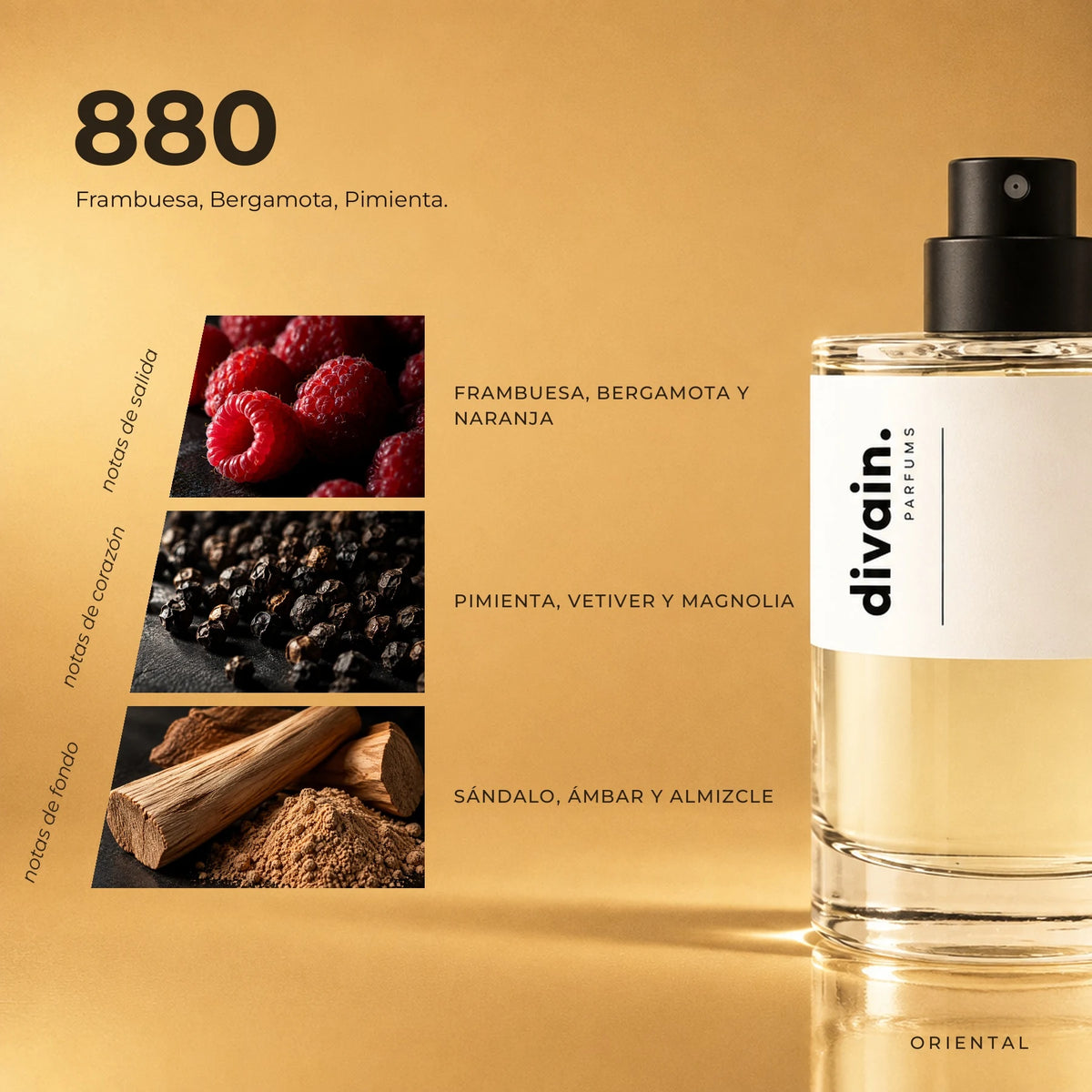 divain-880 piramide olfativa