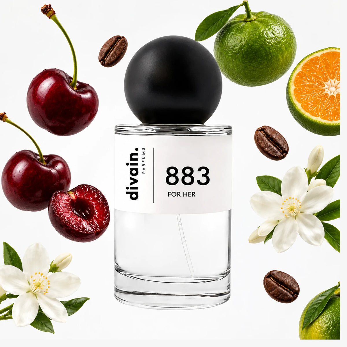 divain-883 notas