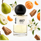divain-887 notas