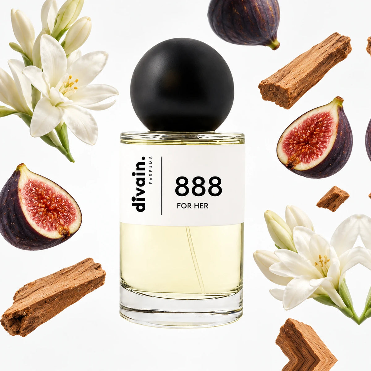 divain-888 notas