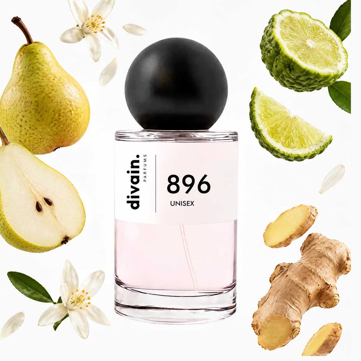 divain.896