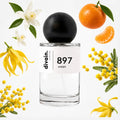 divain-897 notas