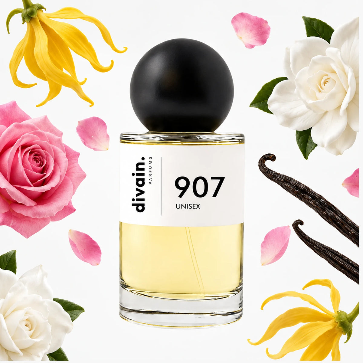divain.907