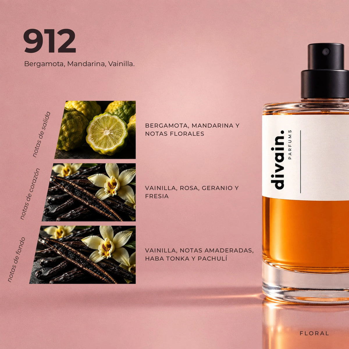 divain-912 piramide olfativa