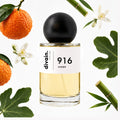 Pirámide olfativa perfume divain.916 | divain Parfums