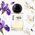divain-953 notas