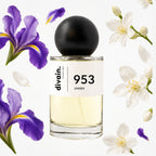 divain-953 notas