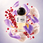 divain.953