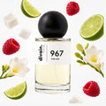 divain-967 notas