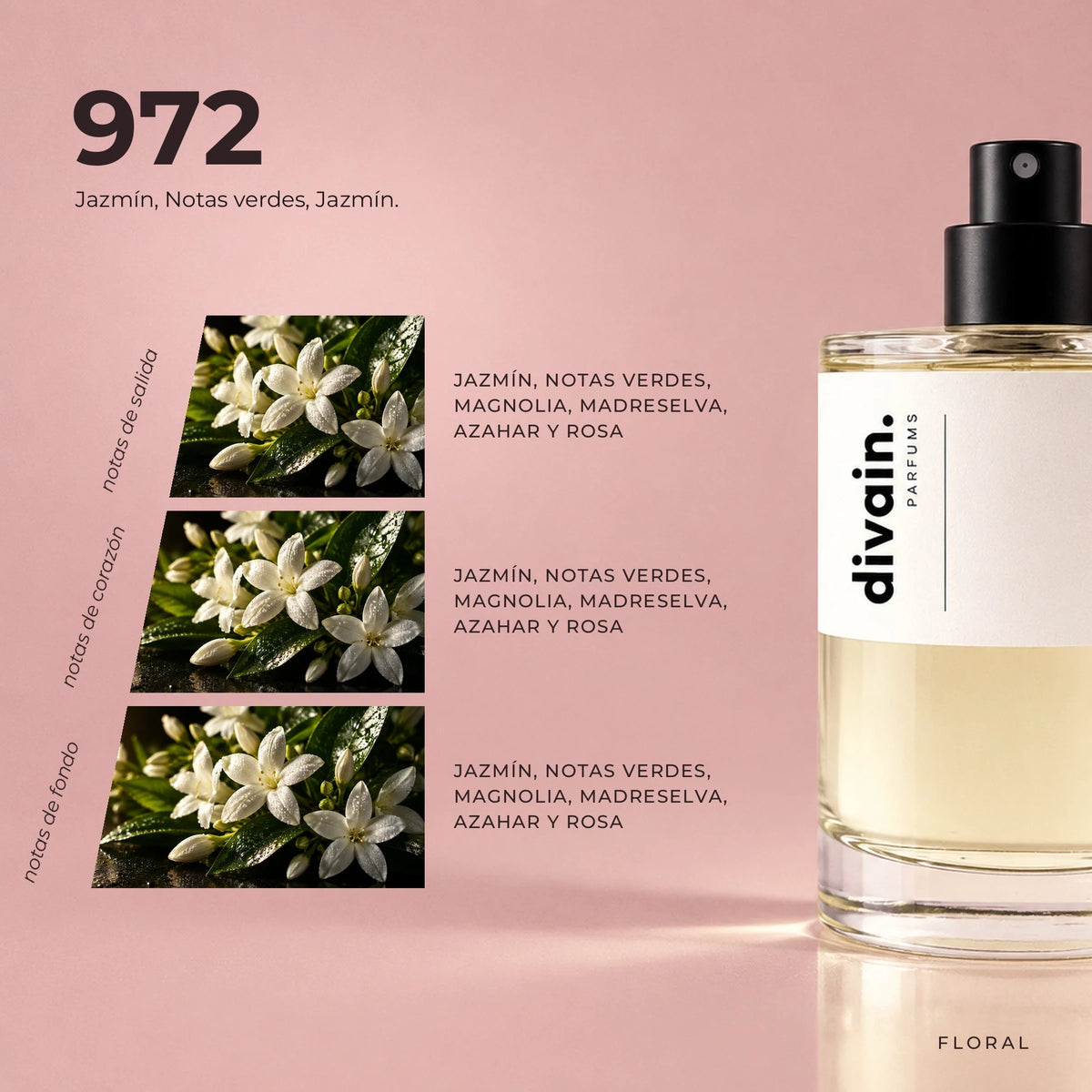 divain-972-carbon piramide olfativa