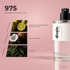 divain-975-oxygen piramide olfativa