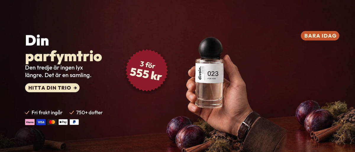 Todo a 16 € · B · SE