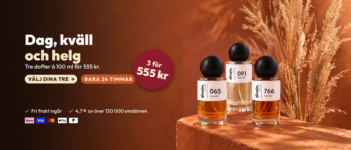 Todo a 16 € · B · SE