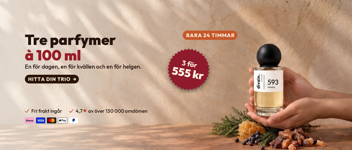 Todo a 16 € · B · SE