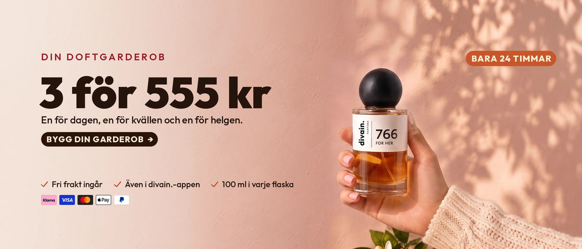 Todo a 16 € · C · SE