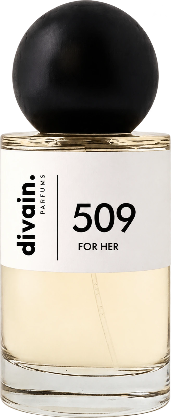 divain.509
