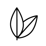 divain Parfums