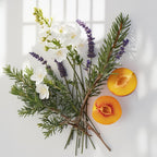 Notas olfativas del perfume que combinan la frescura aromática del romero y la lavanda con el toque dulce y jugoso del melocotón, suavizadas por la delicadeza del jazmín.