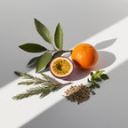 Notas olfativas cítricas y herbales con mandarina, maracuyá, laurel, romero, semillas de comino y hojas verdes frescas