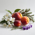 Notas olfativas del perfume con melocotón dulce, flores blancas, violeta suave y un toque fresco de ciprés.