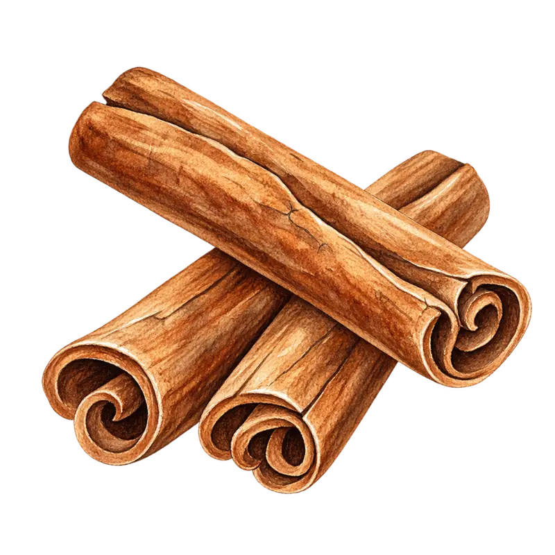 Ilustración de la nota olfativa Canela